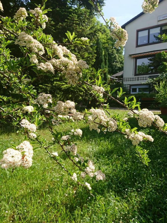 Landgasthof Gaensberg Wiesloch Εξωτερικό φωτογραφία