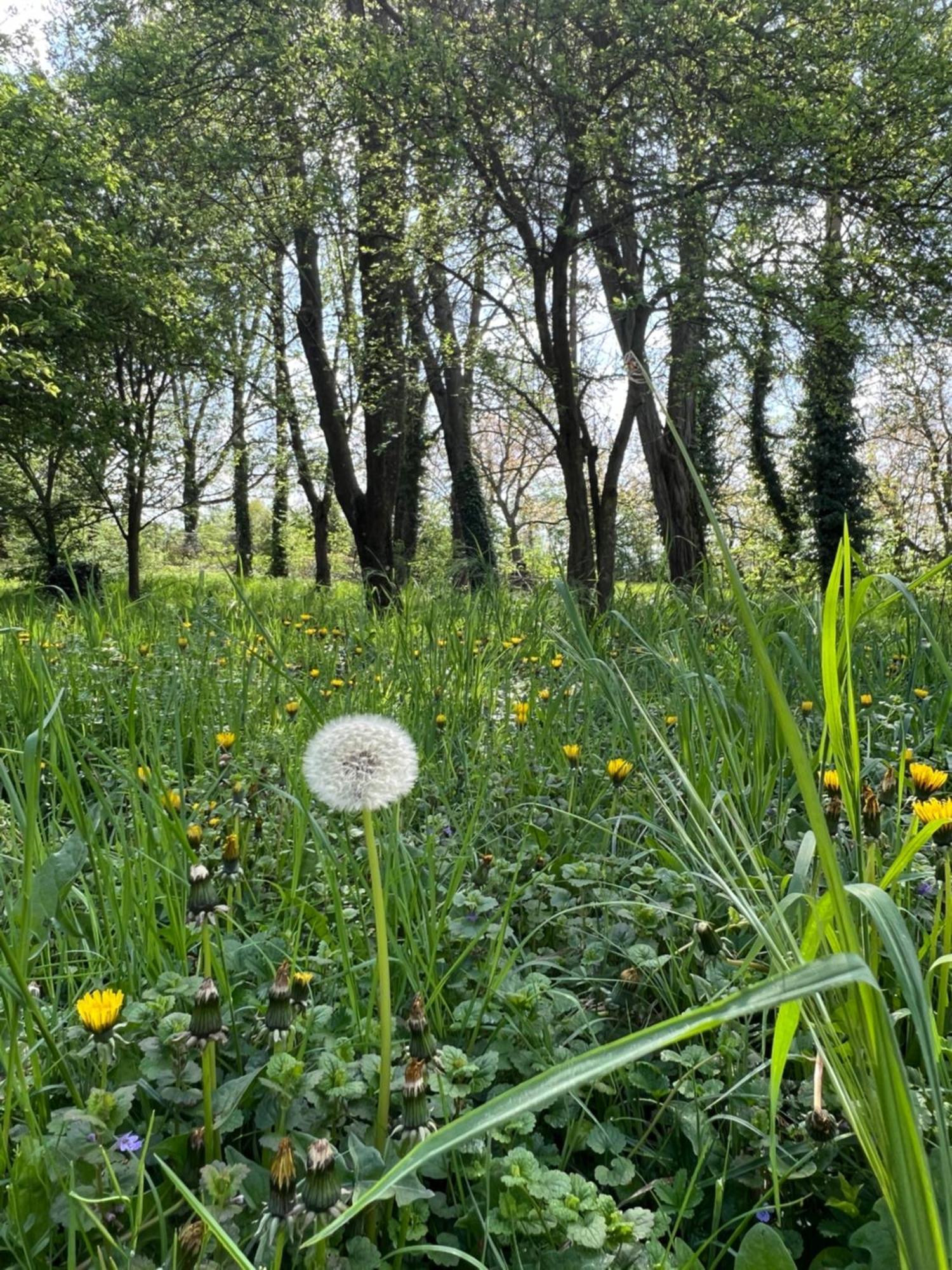 Landgasthof Gaensberg Wiesloch Εξωτερικό φωτογραφία