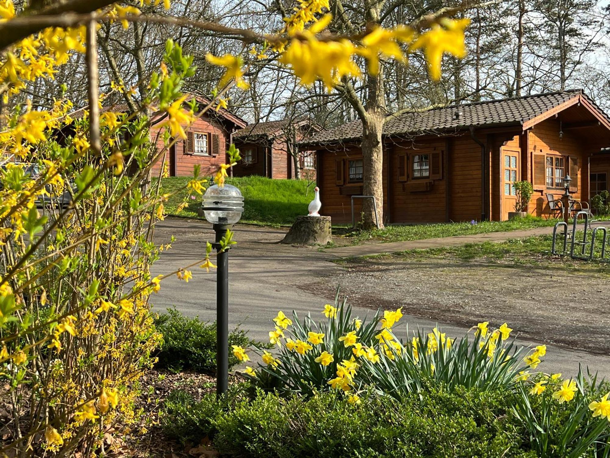 Landgasthof Gaensberg Wiesloch Εξωτερικό φωτογραφία